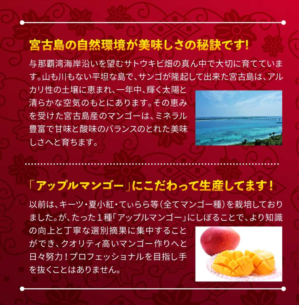 宮古島の自然環境が美味しさの秘訣です。
アップルマンゴーにこだわって生産しています。
とれたての旬なマンゴーを出荷