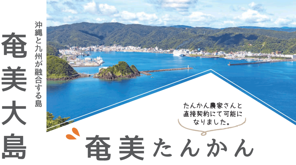 奄美たんかん
沖縄と九州が融合する島
奄美大島

たんかん農家さんと直接契約にて可能になりました。