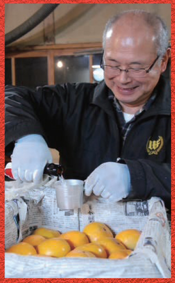 生産者 井関松夫さん（MATSUO柿園）